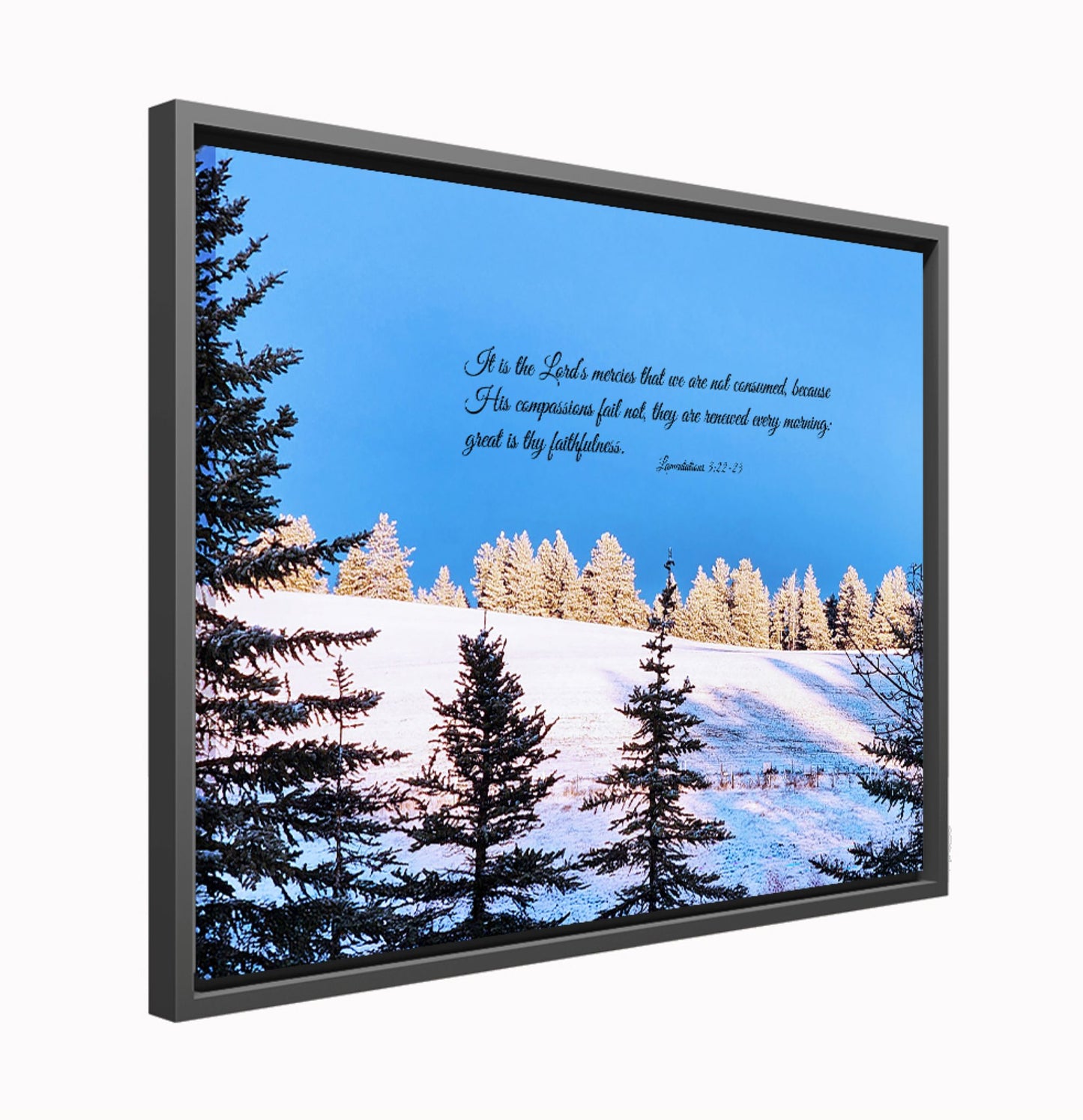 "His Tender Mercies" Framed Canvas