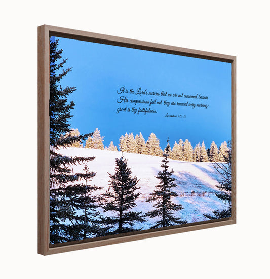 "His Tender Mercies" Framed Canvas