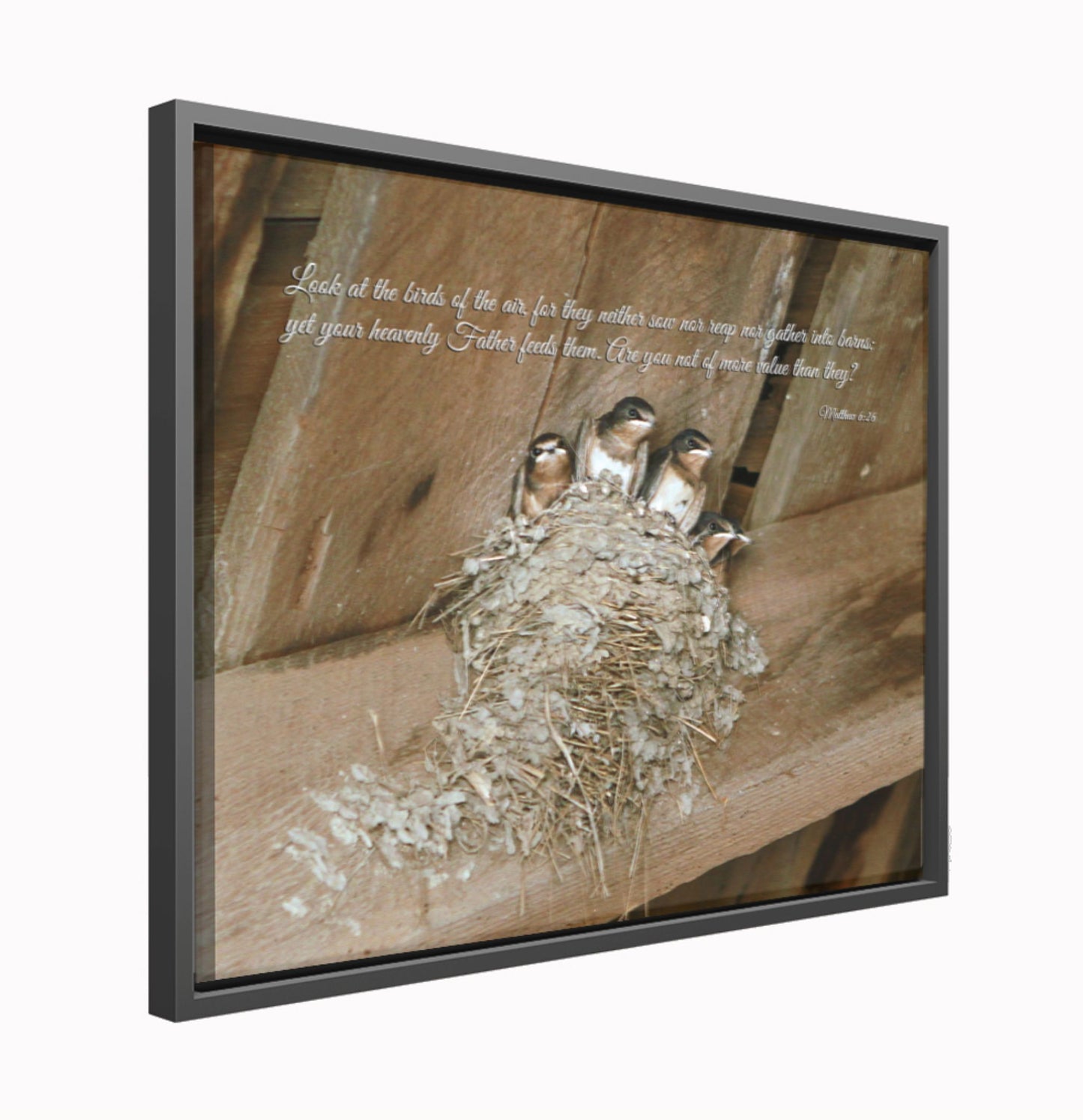 "Look At The Birds Of The Air" Framed Canvas