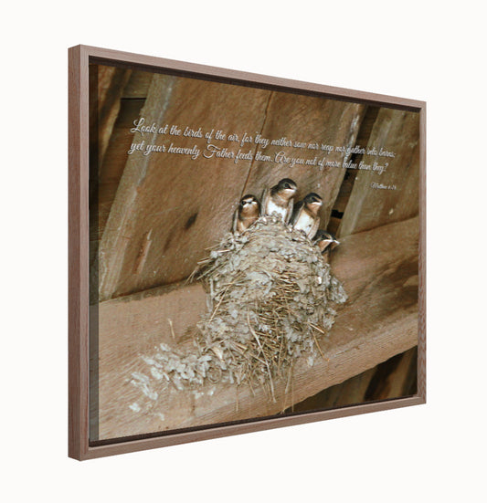 "Look At The Birds Of The Air" Framed Canvas