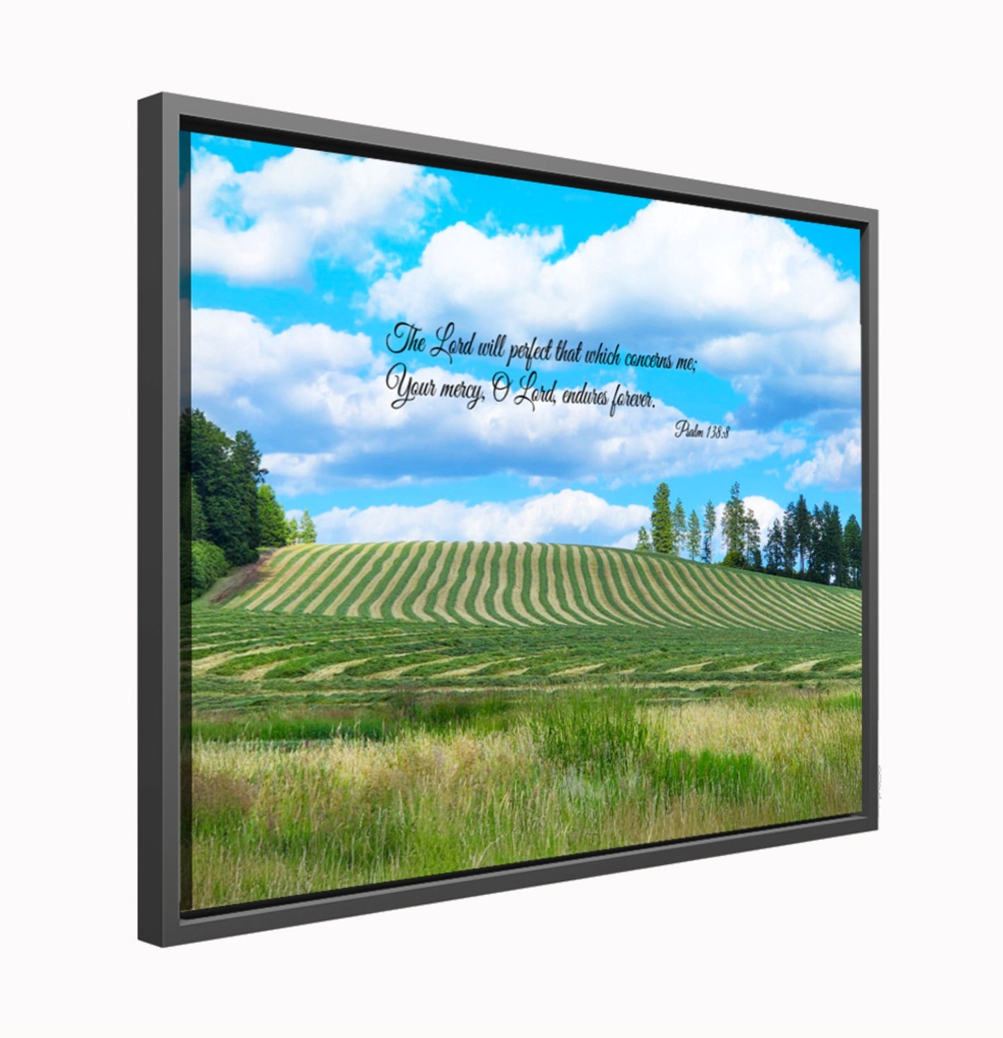 "The Lord Will Perfect That Which Concerns Me" Framed Canvas